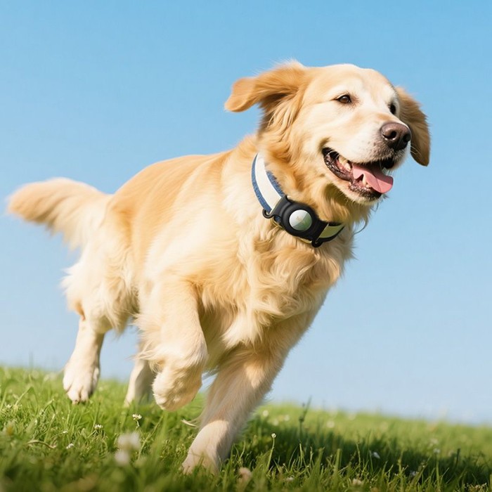 Lokalizator zgodny z Apple Find My Hoco E91C biały (3).jpg