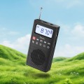Radio przenośne Bluetooth MP3 z karty TF HI51 czarne Hoco (3).jpg
